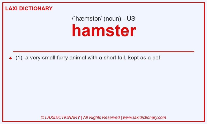 Definition hamster in American English