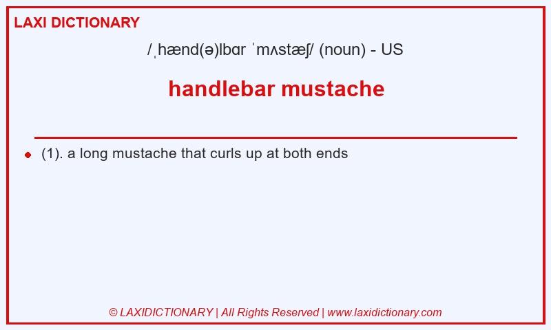 Definition handlebar mustache in American English