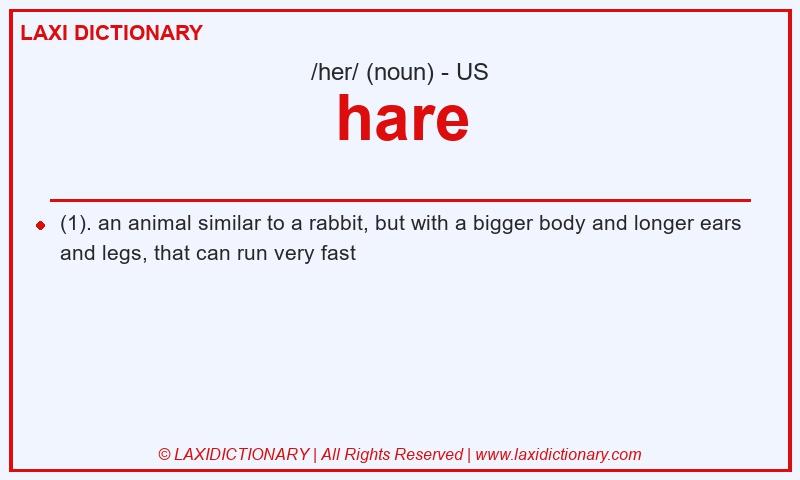 Definition hare in American English