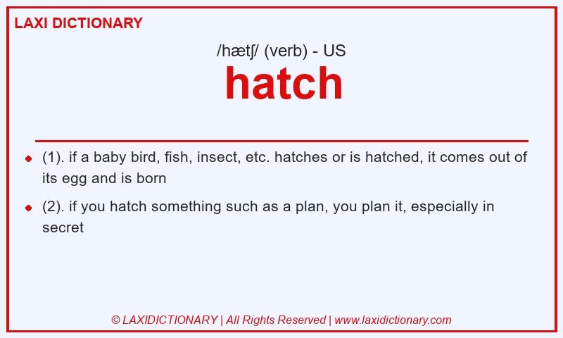 Definition hatch in American English