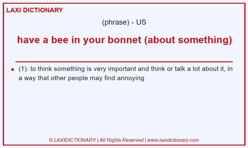 Definition have a bee in your bonnet (about something) in American English