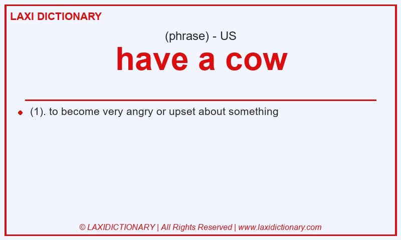 Definition have a cow in American English