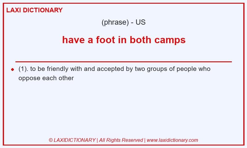 Definition have a foot in both camps in American English