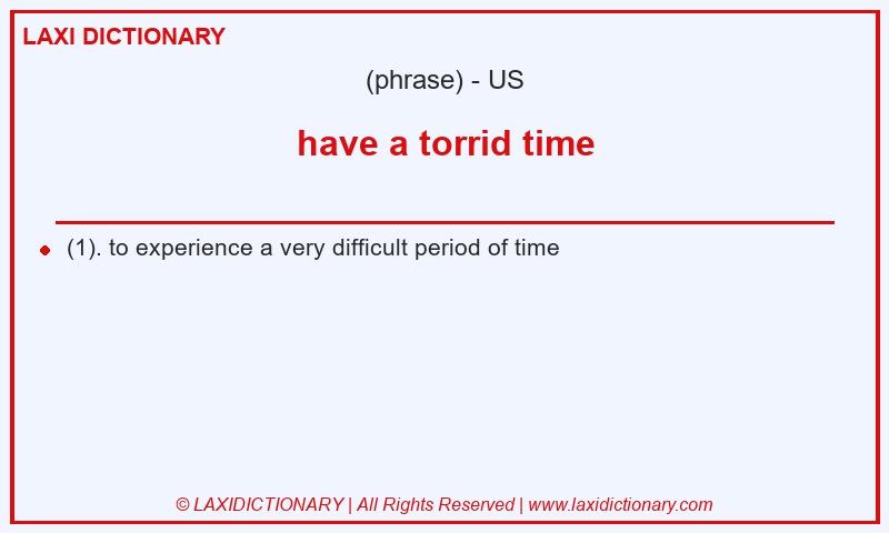 Definition have a torrid time in American English