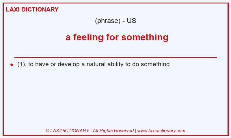 Definition a feeling for something in American English