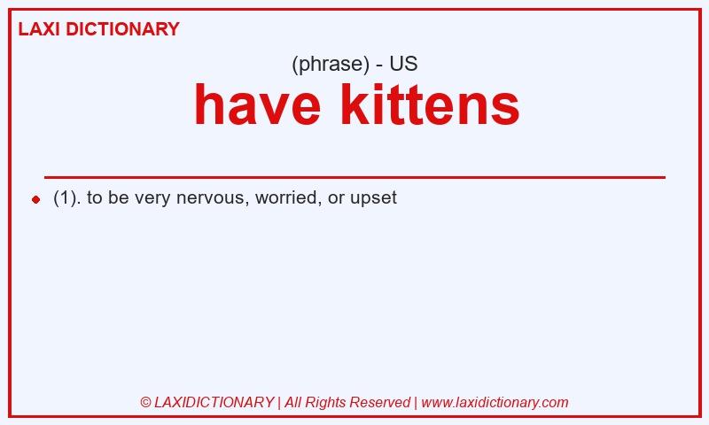 Definition have kittens in American English