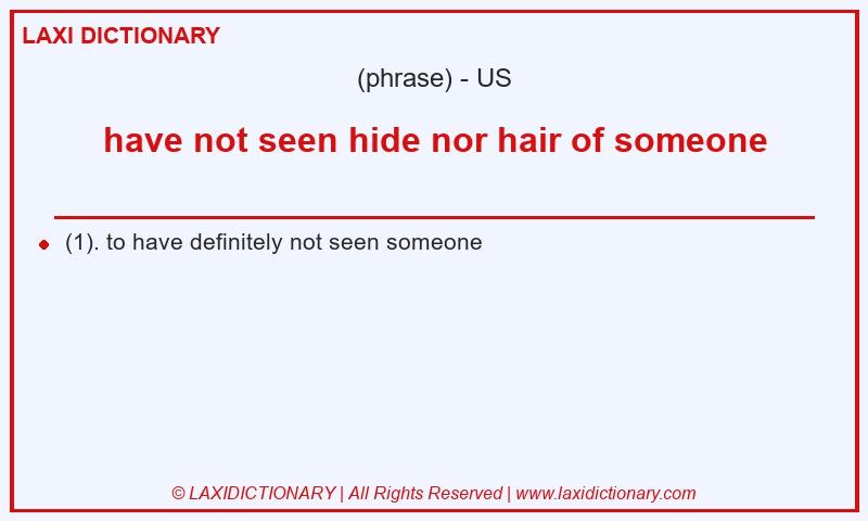 Definition have not seen hide nor hair of someone in American English