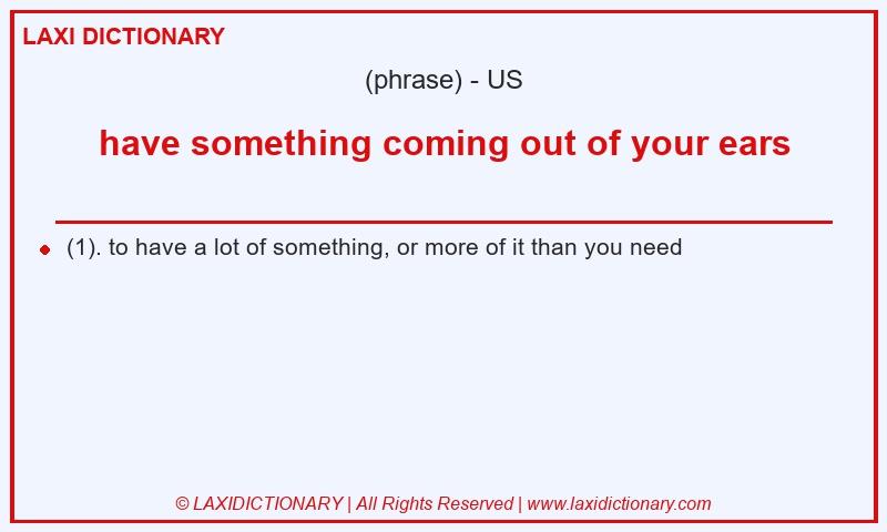 Definition have something coming out of your ears in American English