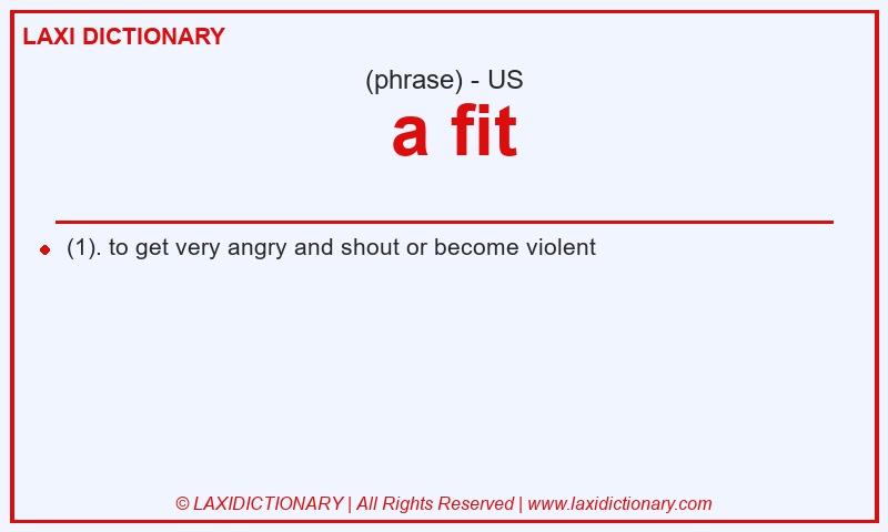 Definition  a fit in American English