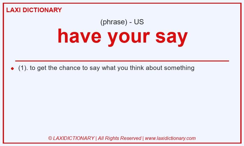 Definition have your say in American English