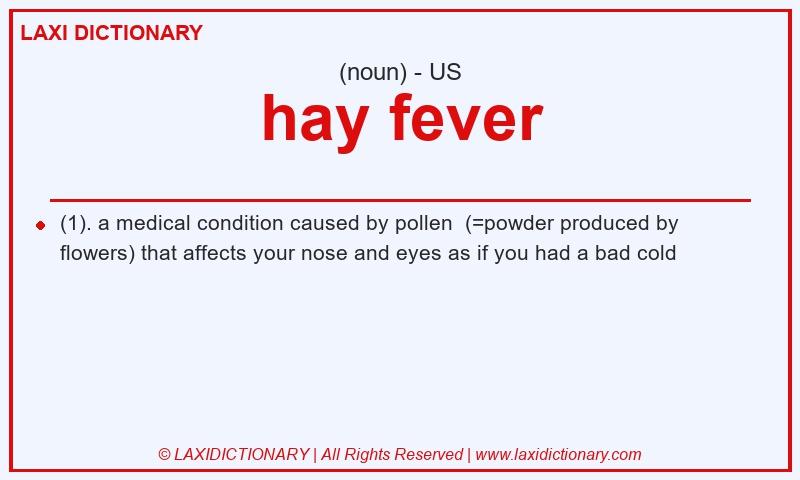 Definition hay fever in American English