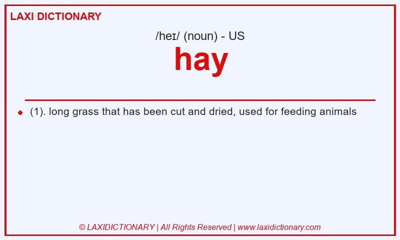 Definition hay in American English