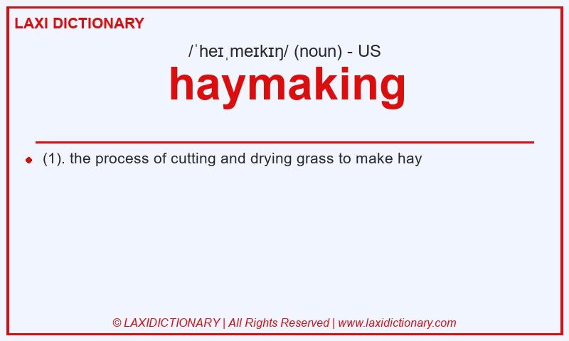 Definition haymaking in American English