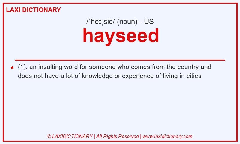 Definition hayseed in American English