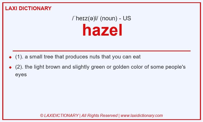 Definition hazel in American English