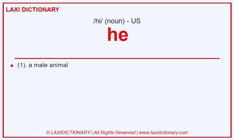 Definition he in American English