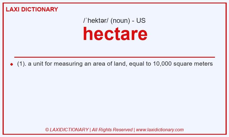 Definition hectare in American English