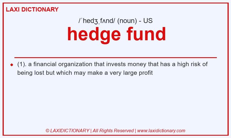 Definition hedge fund in American English