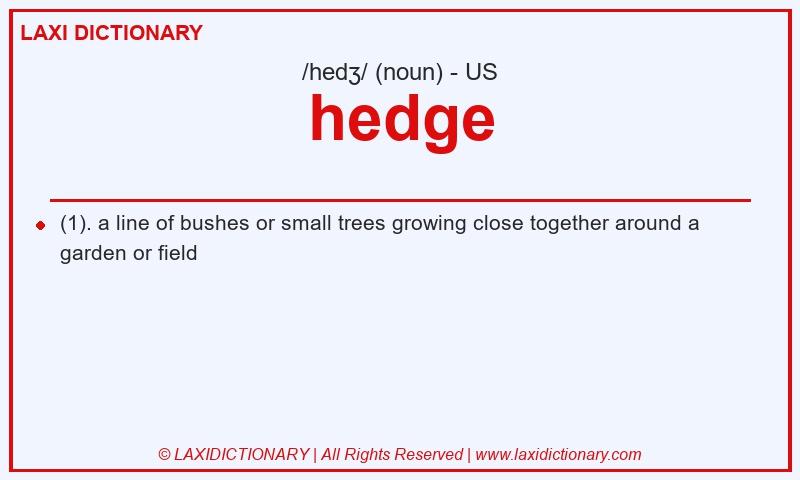 Definition hedge in American English