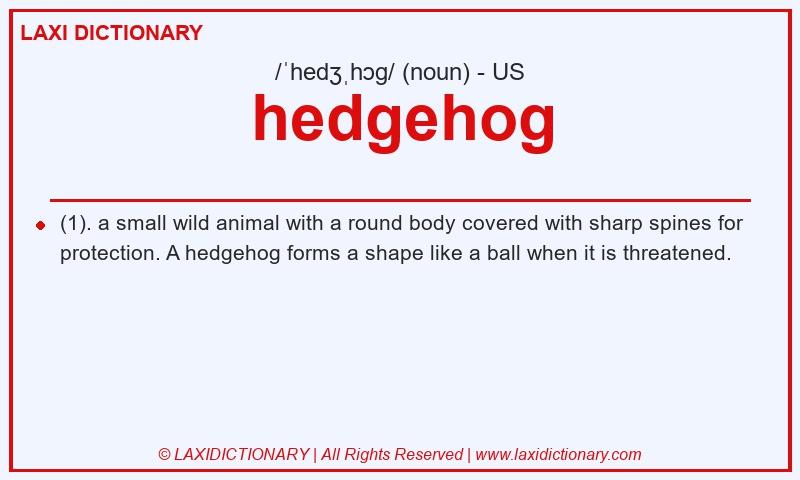 Definition hedgehog in American English