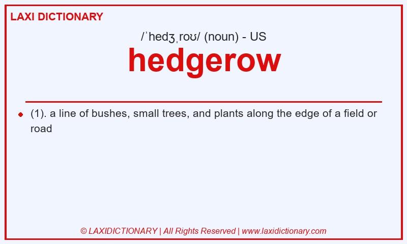 Definition hedgerow in American English