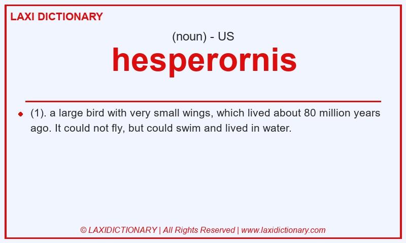 Definition hesperornis in American English