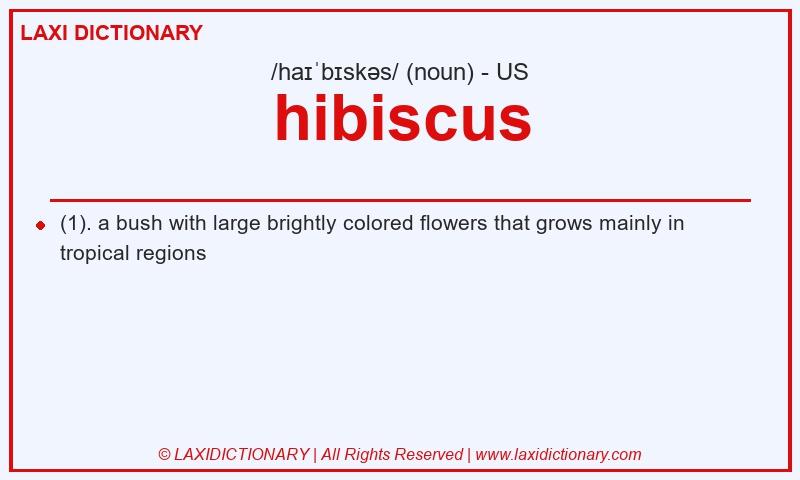 Definition hibiscus in American English