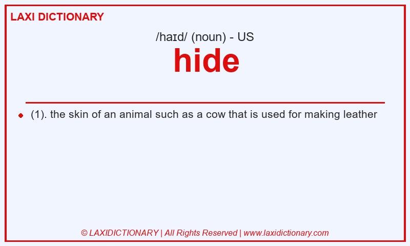 Definition hide in American English