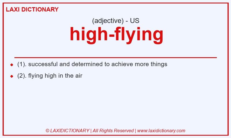 Definition high-flying in American English