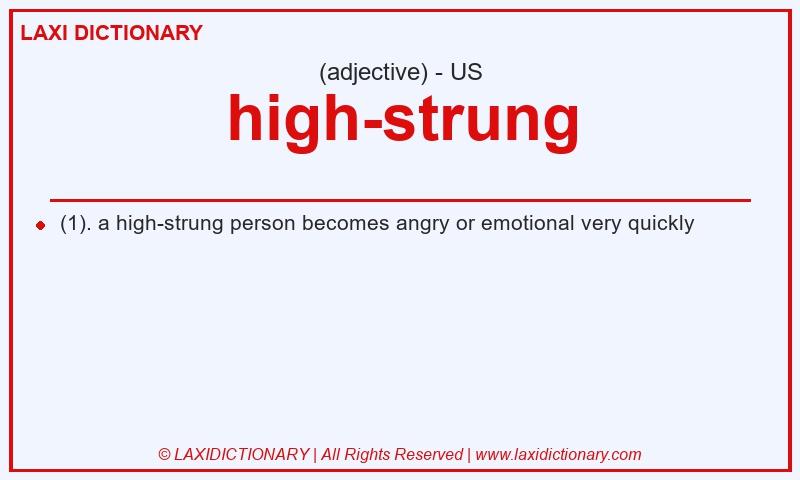 Definition high-strung in American English