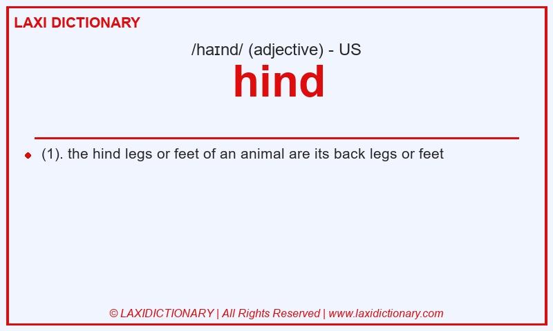 Definition hind in American English