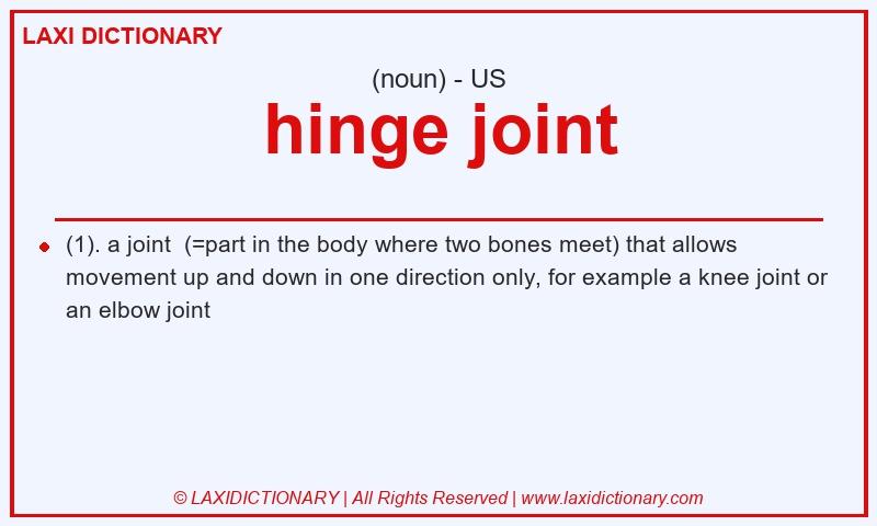 Definition hinge joint in American English