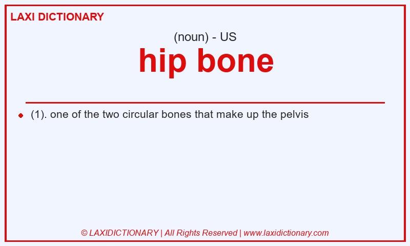 Definition hip bone in American English