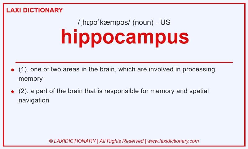 Definition hippocampus in American English