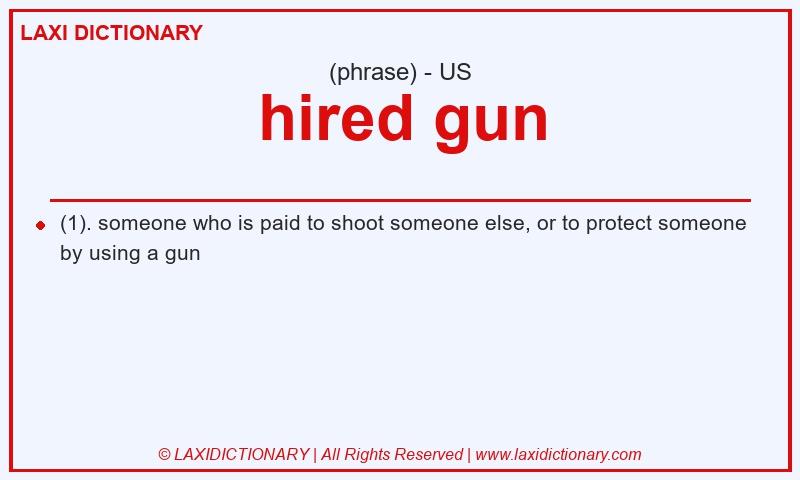 Definition hired gun in American English
