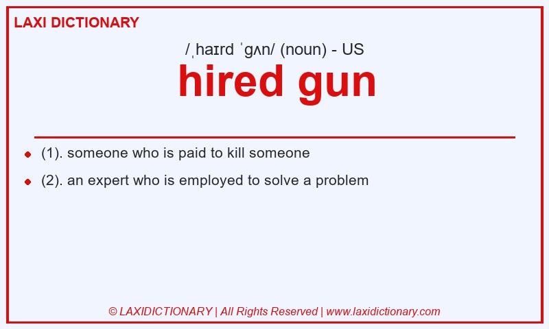 Definition hired gun in American English