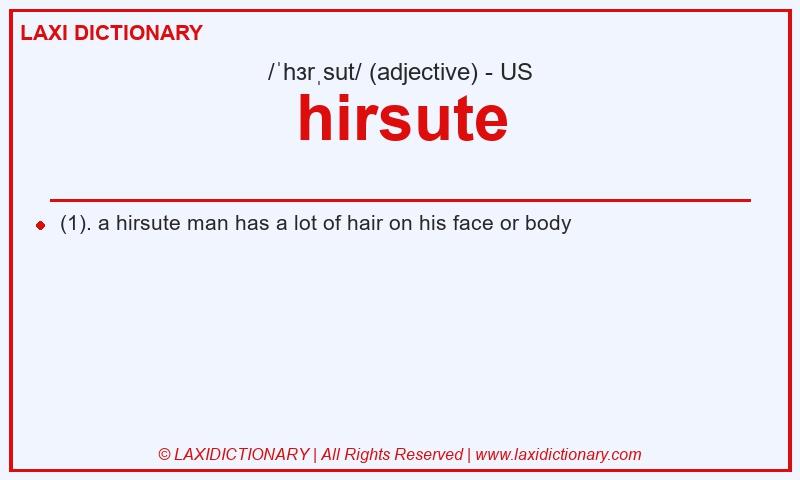 Definition hirsute in American English