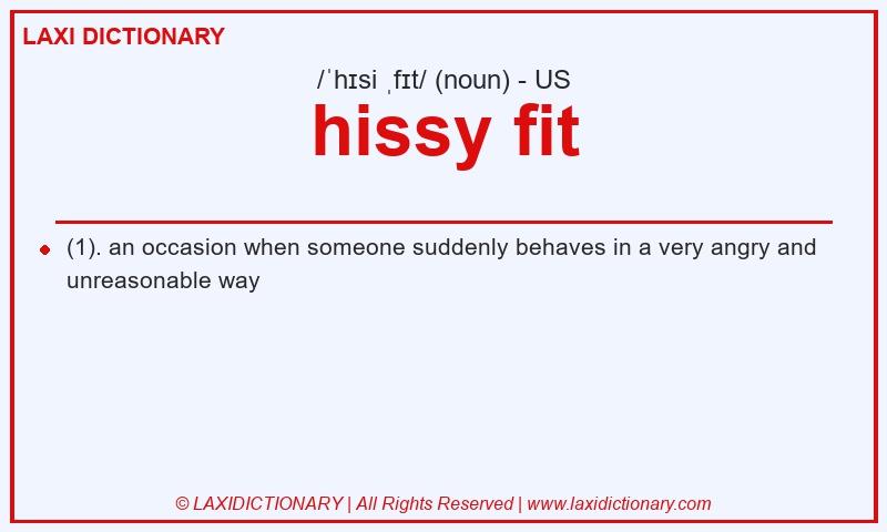 Definition hissy fit in American English