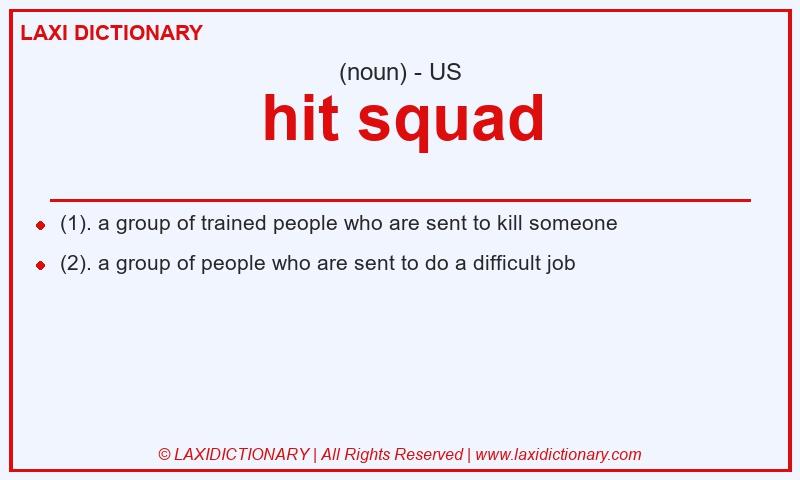 Definition hit squad in American English
