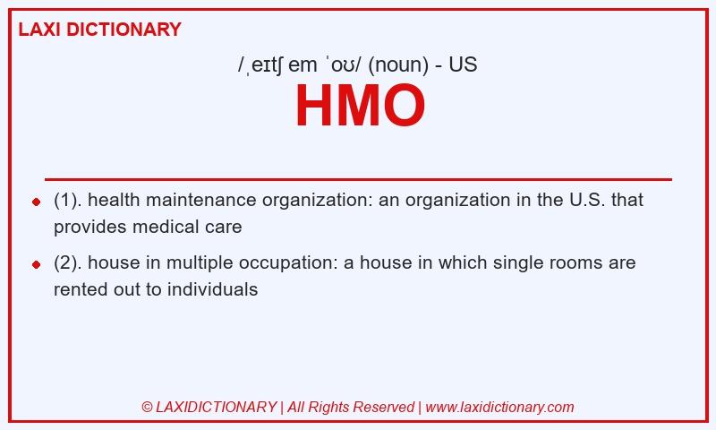 Definition HMO in American English