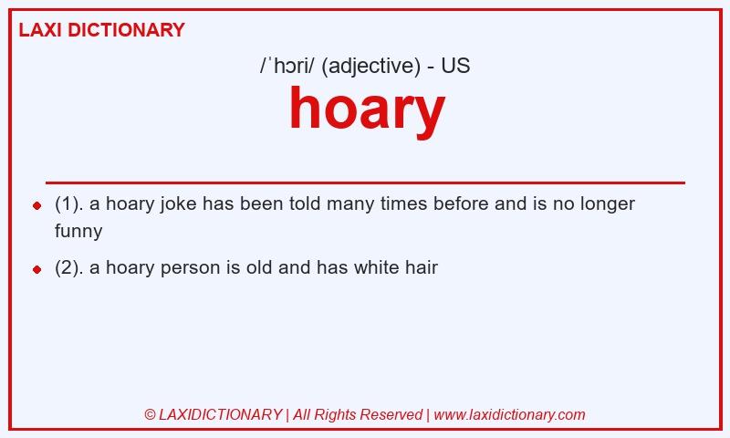 Definition hoary in American English
