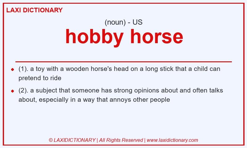 Definition hobby horse in American English