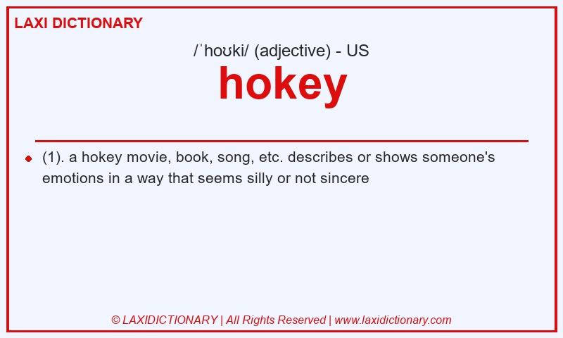 Definition hokey in American English