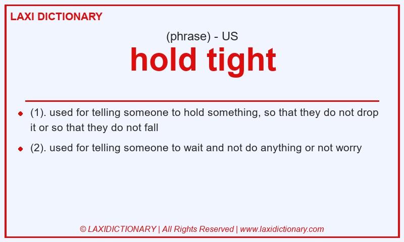 Definition hold tight in American English