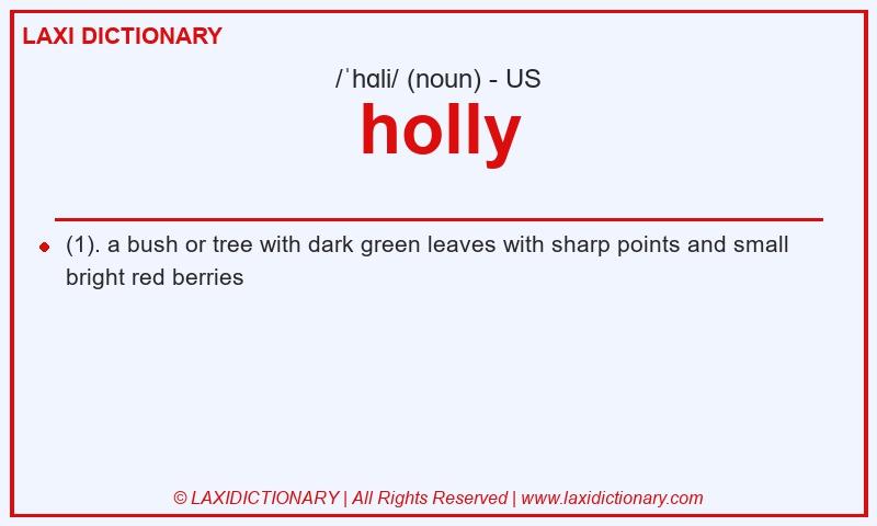 Definition holly in American English
