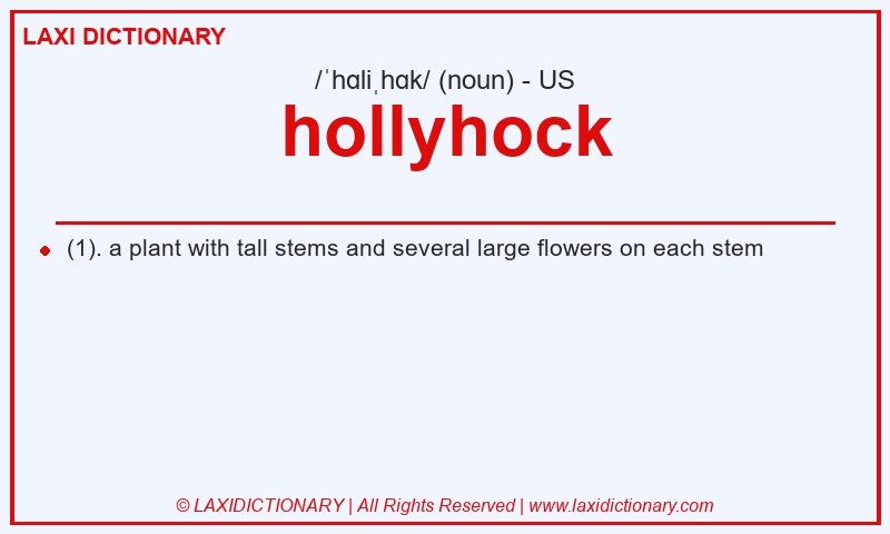 Definition hollyhock in American English