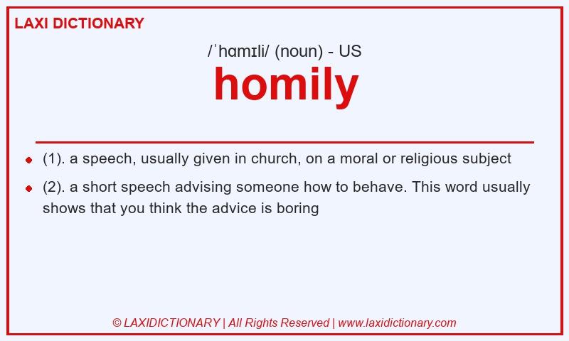 Definition homily in American English
