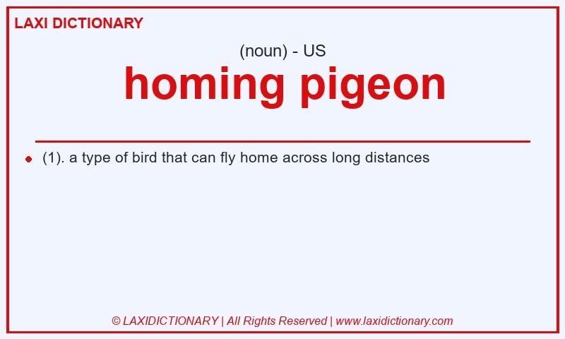 Definition homing pigeon in American English