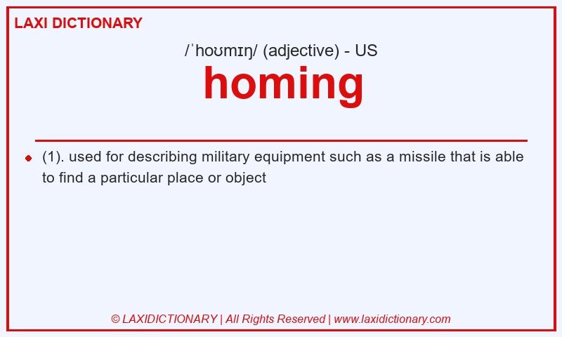 Definition homing in American English