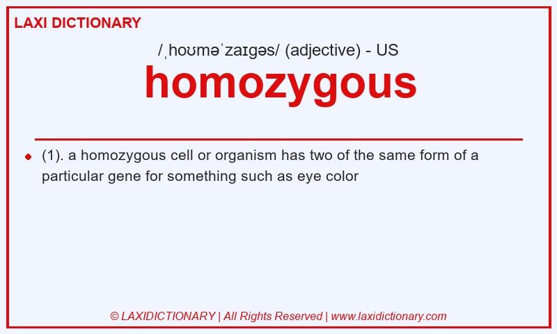 Definition homozygous in American English